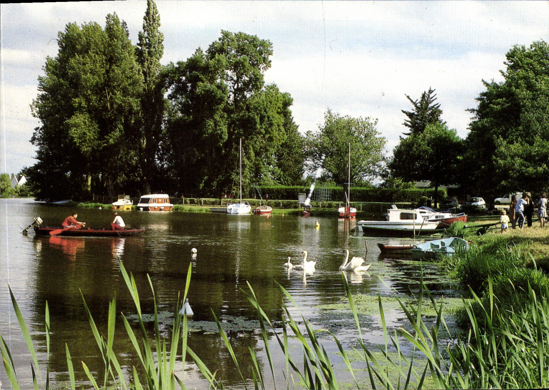 CPSM Nort sur Erdre L Atl les rives de l'Erdre port de plaisance 