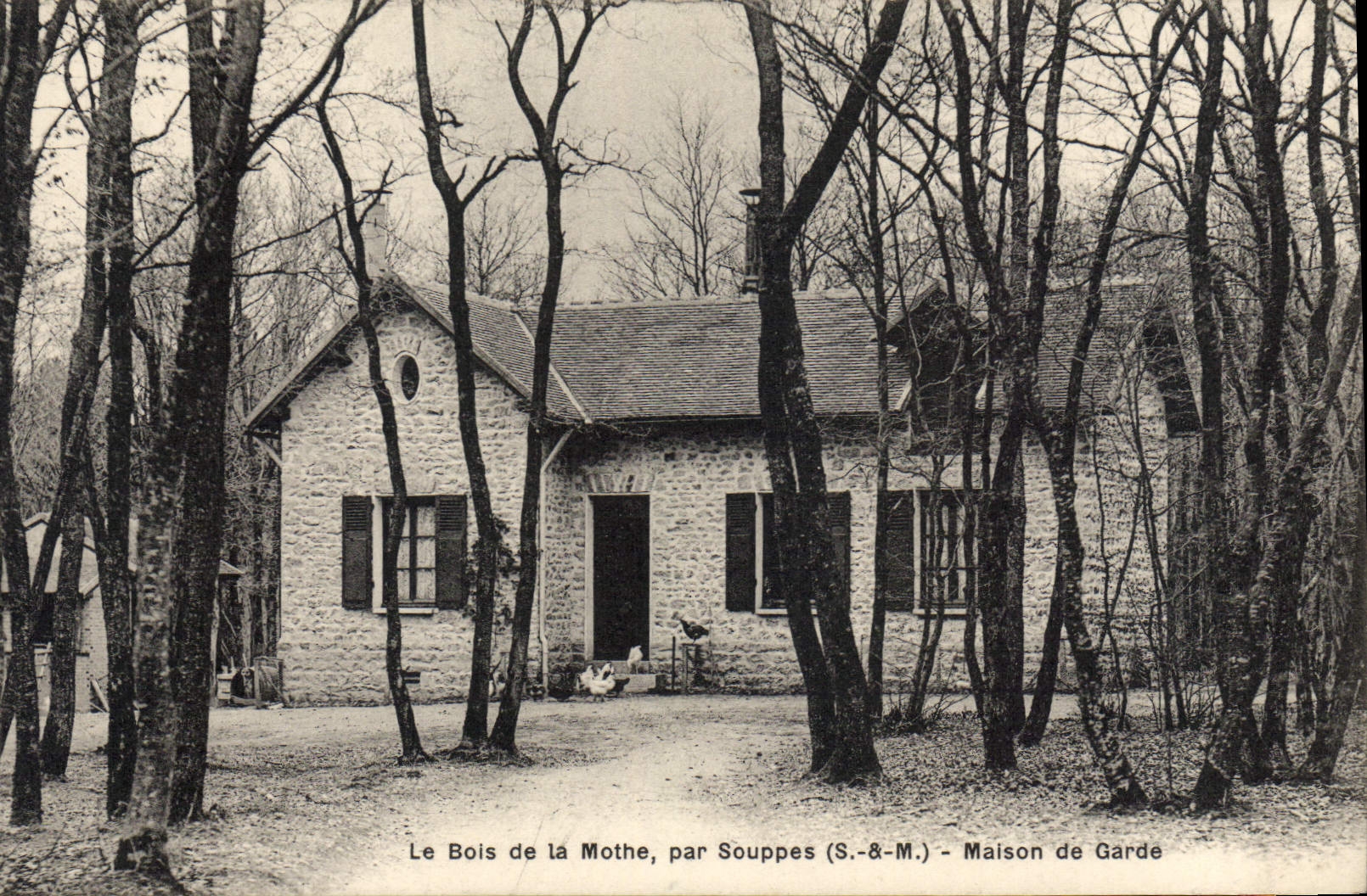CPA Le Bois de la Mothe par Souppes S et M Maison de la Garde 