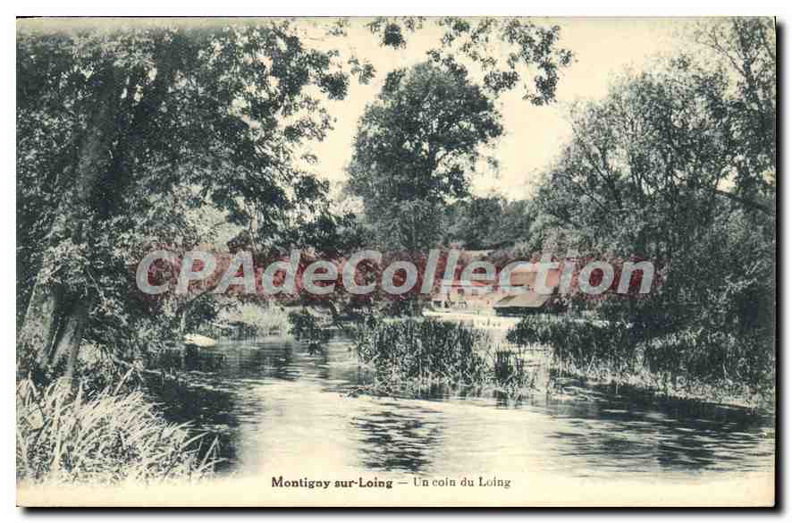 CPA Montigny sur Loing Un coin du Loing 