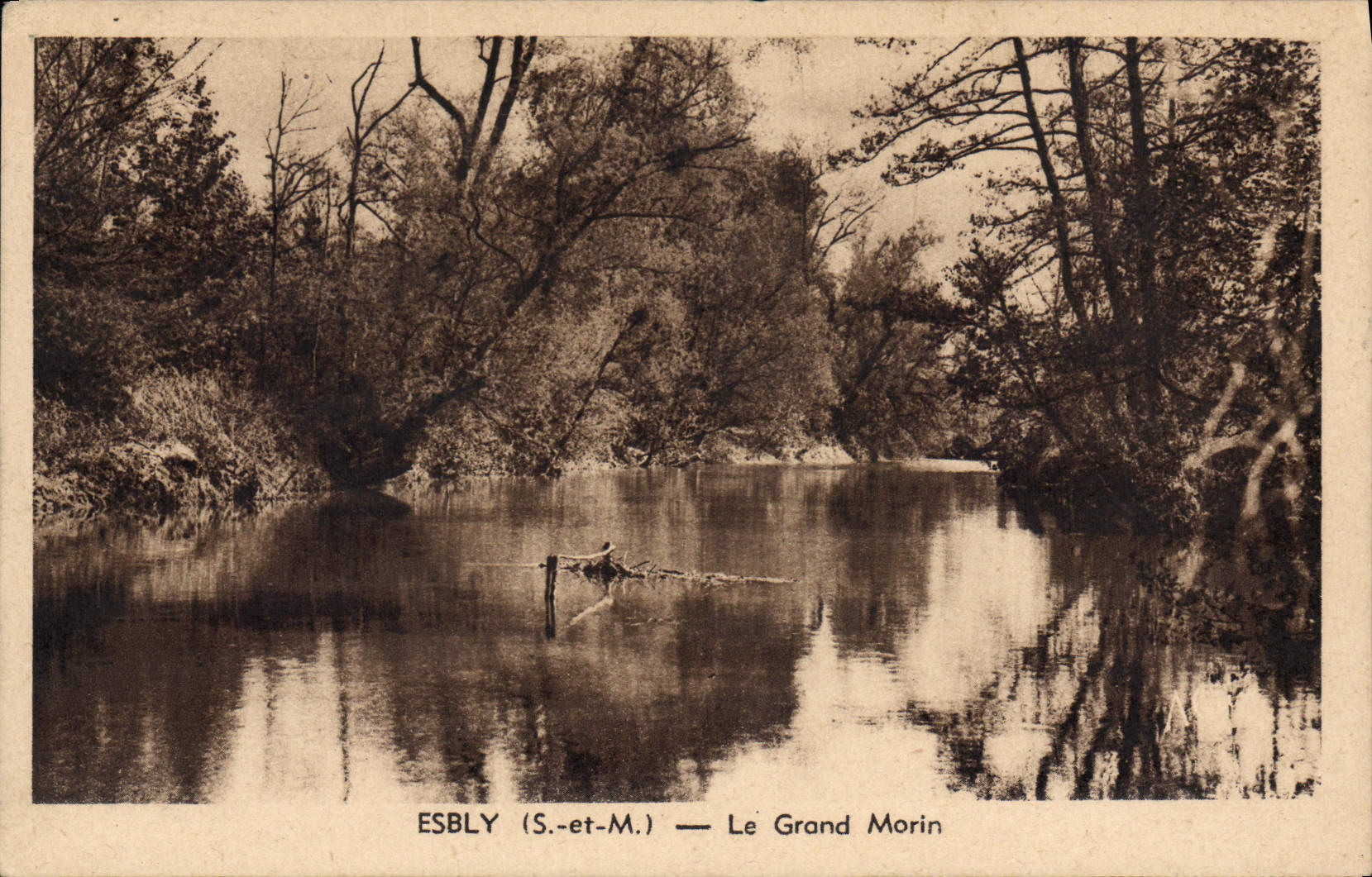 CPA Esbly (S et M) Le Grand Morin