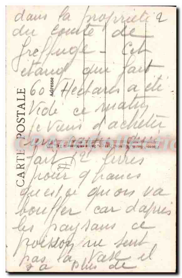 Nangis (S.-et-M.) — Chasse à courre en Forêt de Villetermoy — Le grand Etang — Après la mise à mort, on ramène le cerf pour la curee — Verso