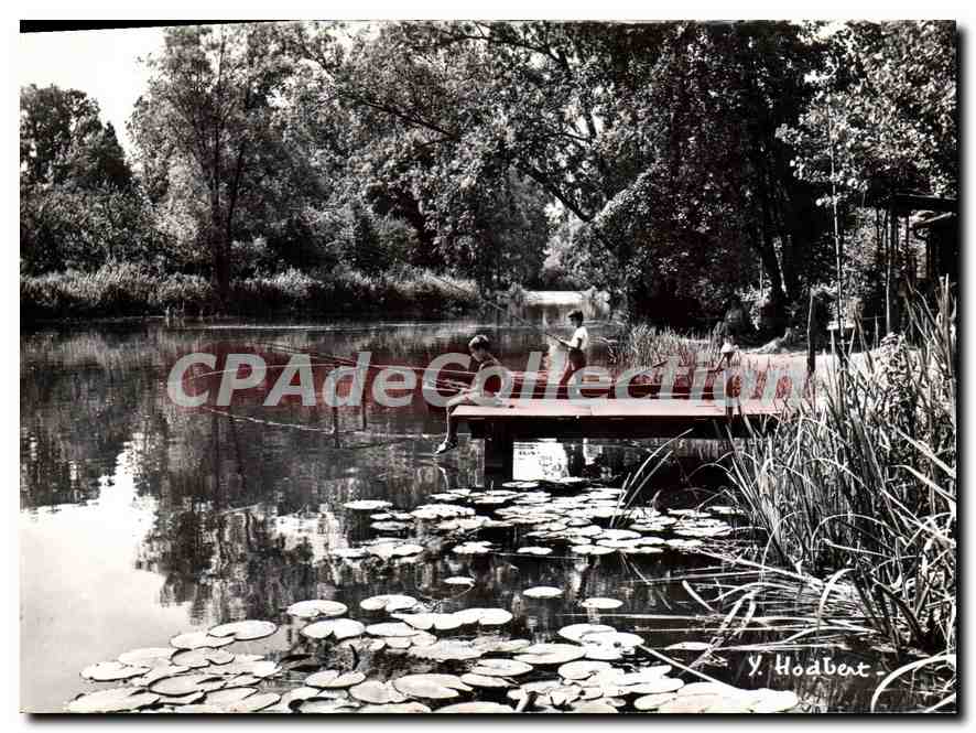 CPSM Au Long du Loing La Peche sur le Loing pres du pont de Bagneaux