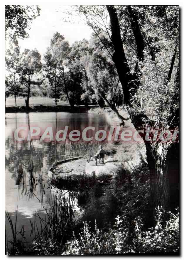 CPSM Villeparisis (Seine et Marne) L'Etang