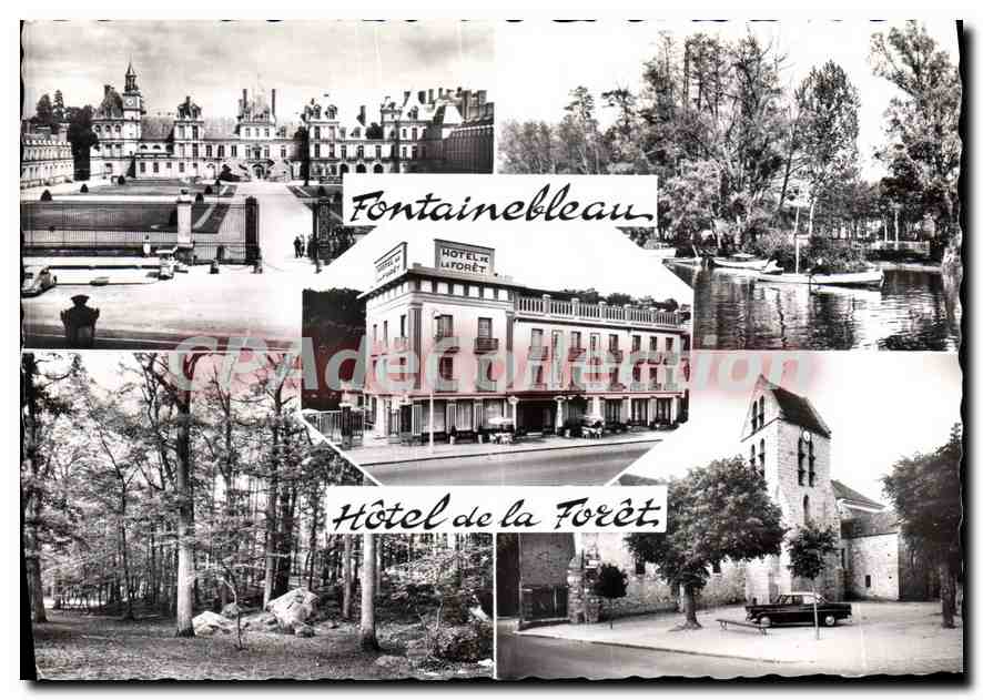 Fontainebleau — Hôtel de la Forêt — éditeur CPAdéCollection