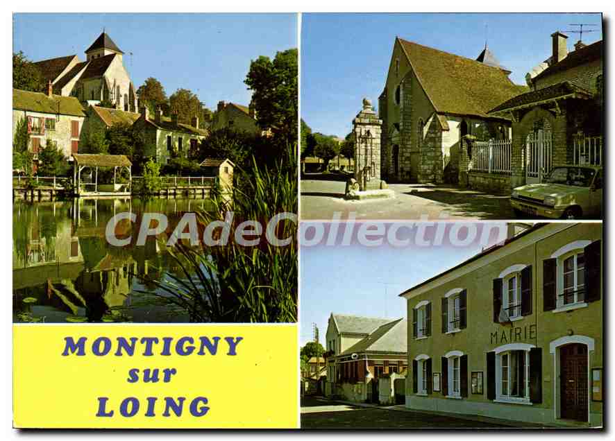 CPSM Montigny sur Loing Les Bords du Loing L'Eglise La Mairie