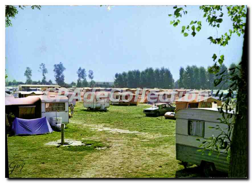 CPSM Bray sur Seine (Seine et Marne) Vue du Camping municipal