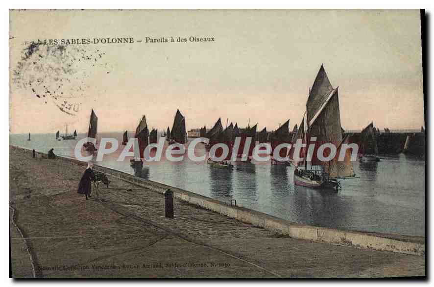 CPA Les Sables d'Olonne Pareils a des Oiseaux