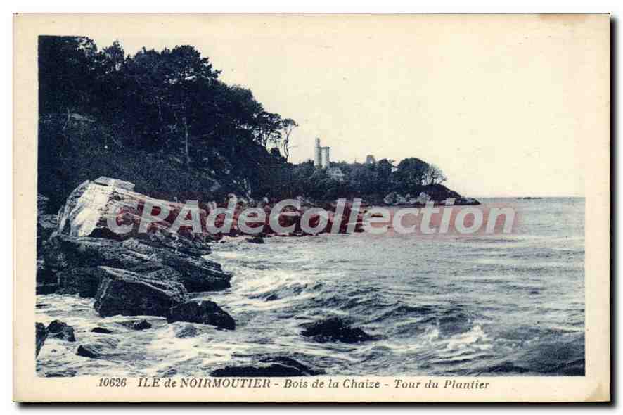 CPA Ile de Noirmoutier Bois de la Chaize Tour du Plantier