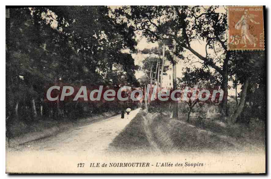 CPA Ile de Noirmoutier L'Allee des Soupirs