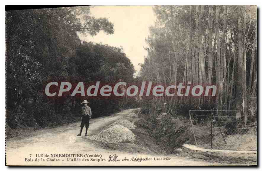 CPA Ile de Noirmoutier (Vendee) Bois de la Chaise