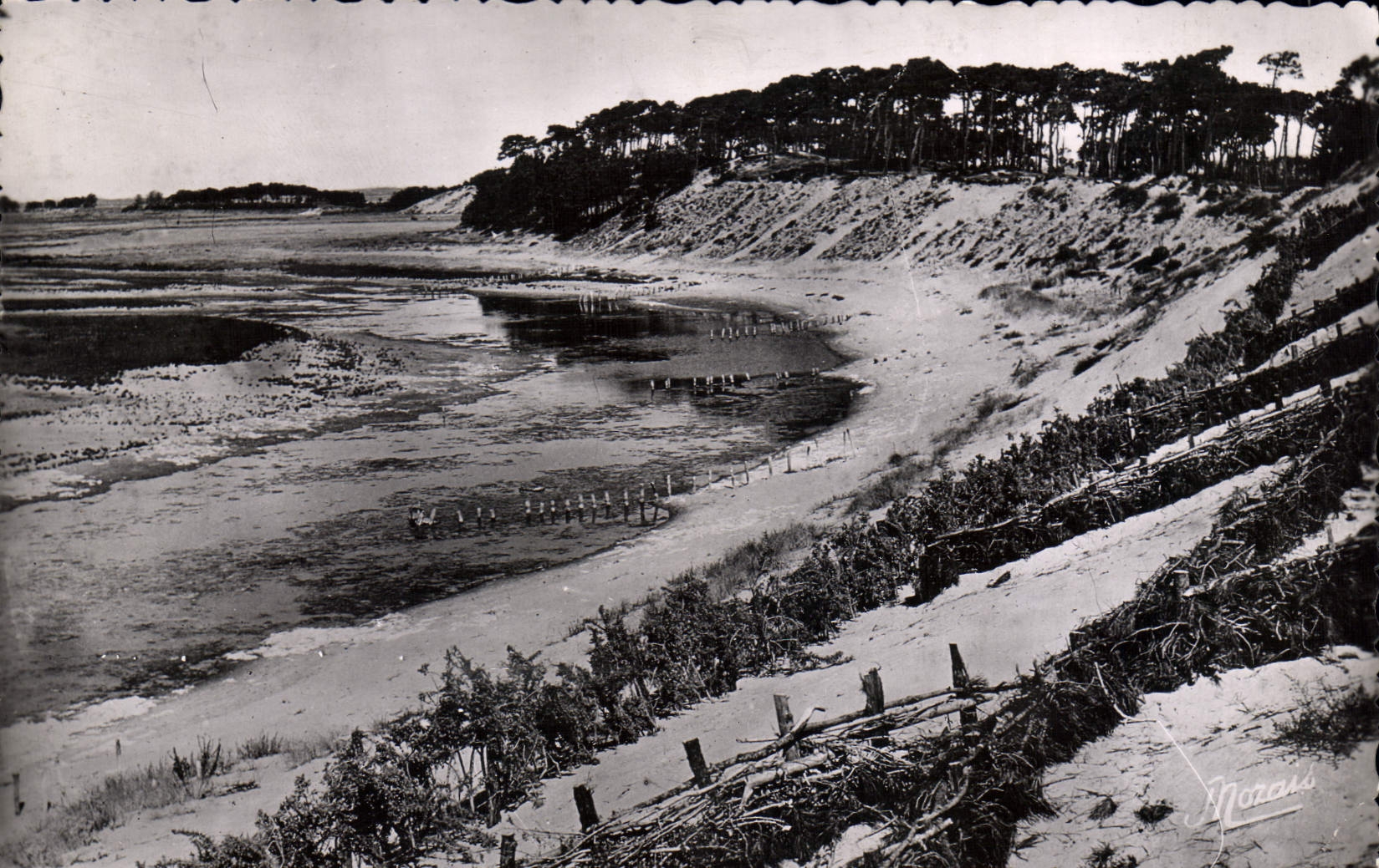 CPA La Tranche sur Mer (Vendee) La Griere