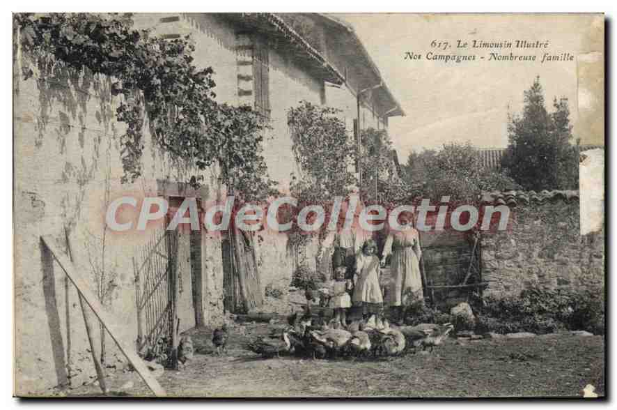 Unsere Kampagnen - Große Familie — Le Limousin Illustré, n°617