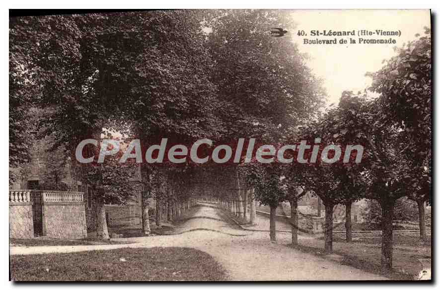 St-Léonard (Hte-Vienne) — Boulevard de la Promenade — unbekannter Verlag, n° 40