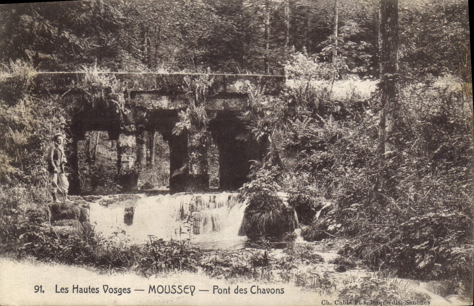 CPA Les Hautes Vosges Moussed Pont des Chavons 