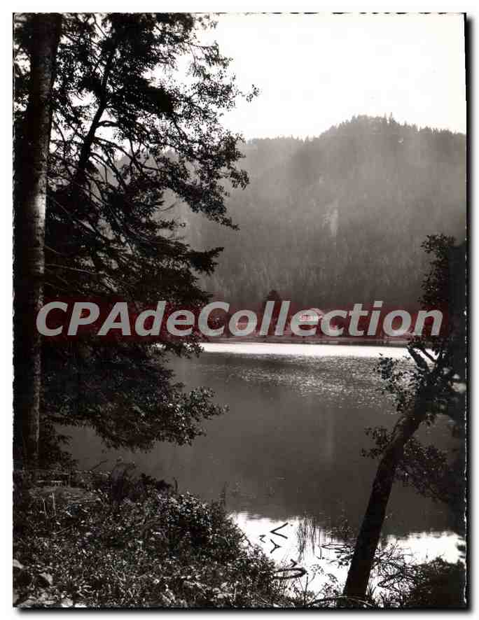 CPSM Les Vosges Pittoresques Lac de Longemer 