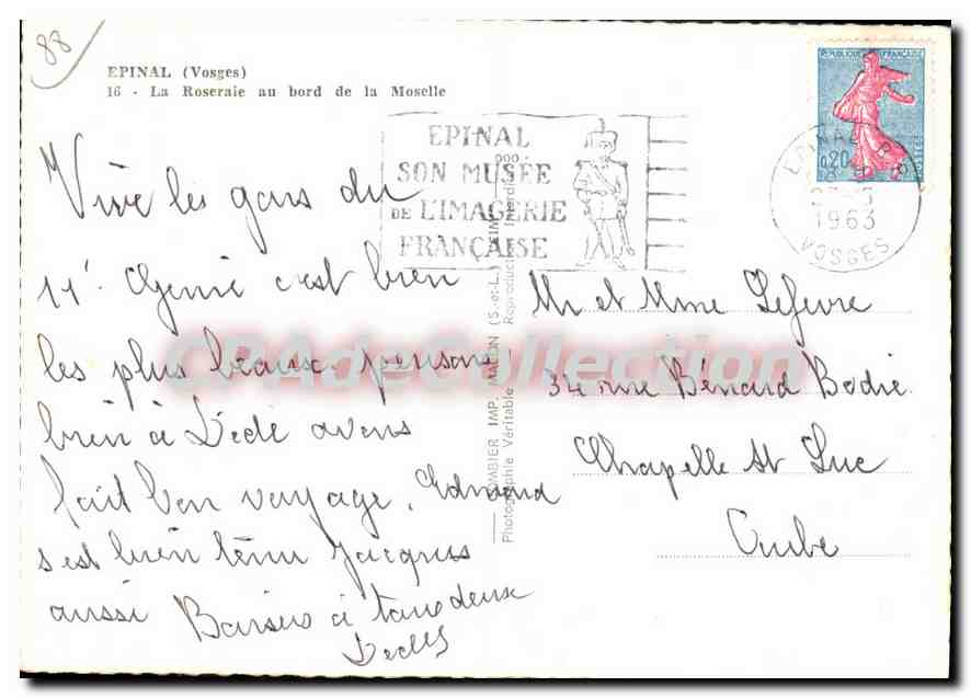 CPSM Epinal Vosges La Roseraie au bord de la Moselle  — Rückseite