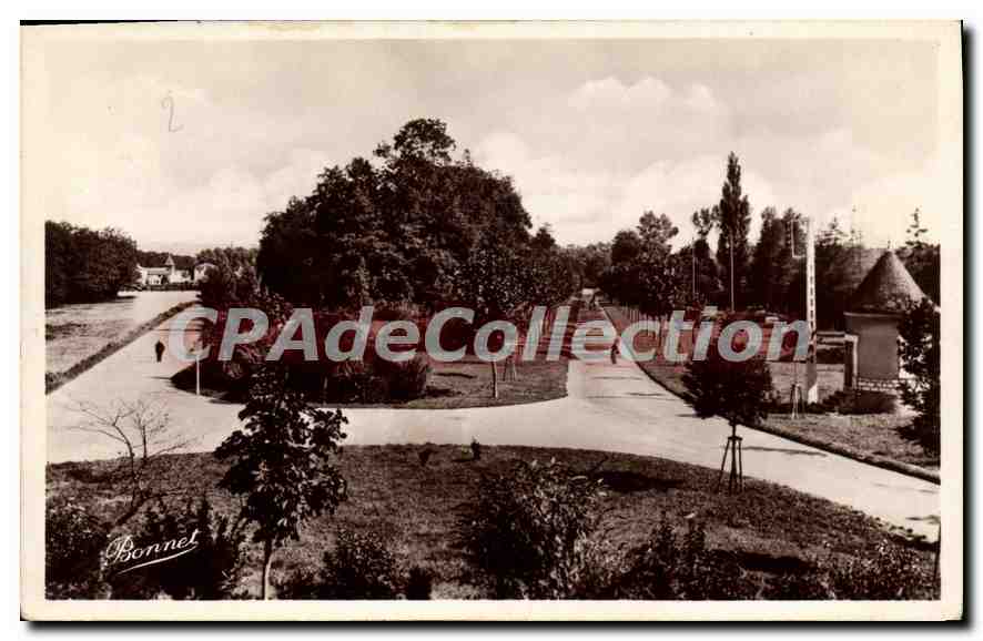 Auxerre - Promenade de l'Arbre-Séc — Édition d'Art Bonnet - Auxerre