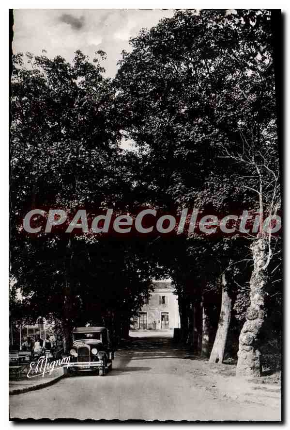 CPSM Champigny sur Yonne Yonne l'Avenue de la Gare 