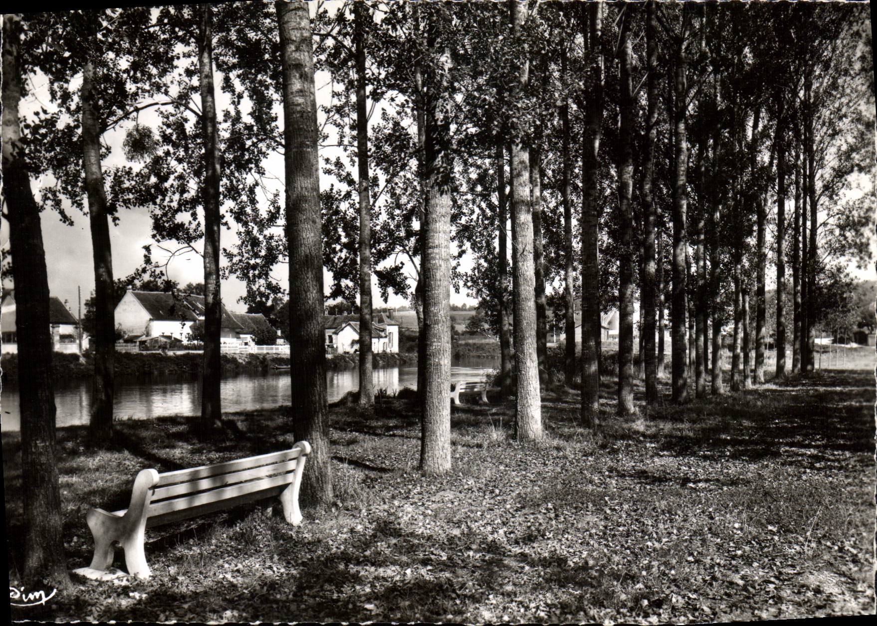 CPSM Moneteau Yonne Les Bords de l'Yonne le Terrain de Camping 
