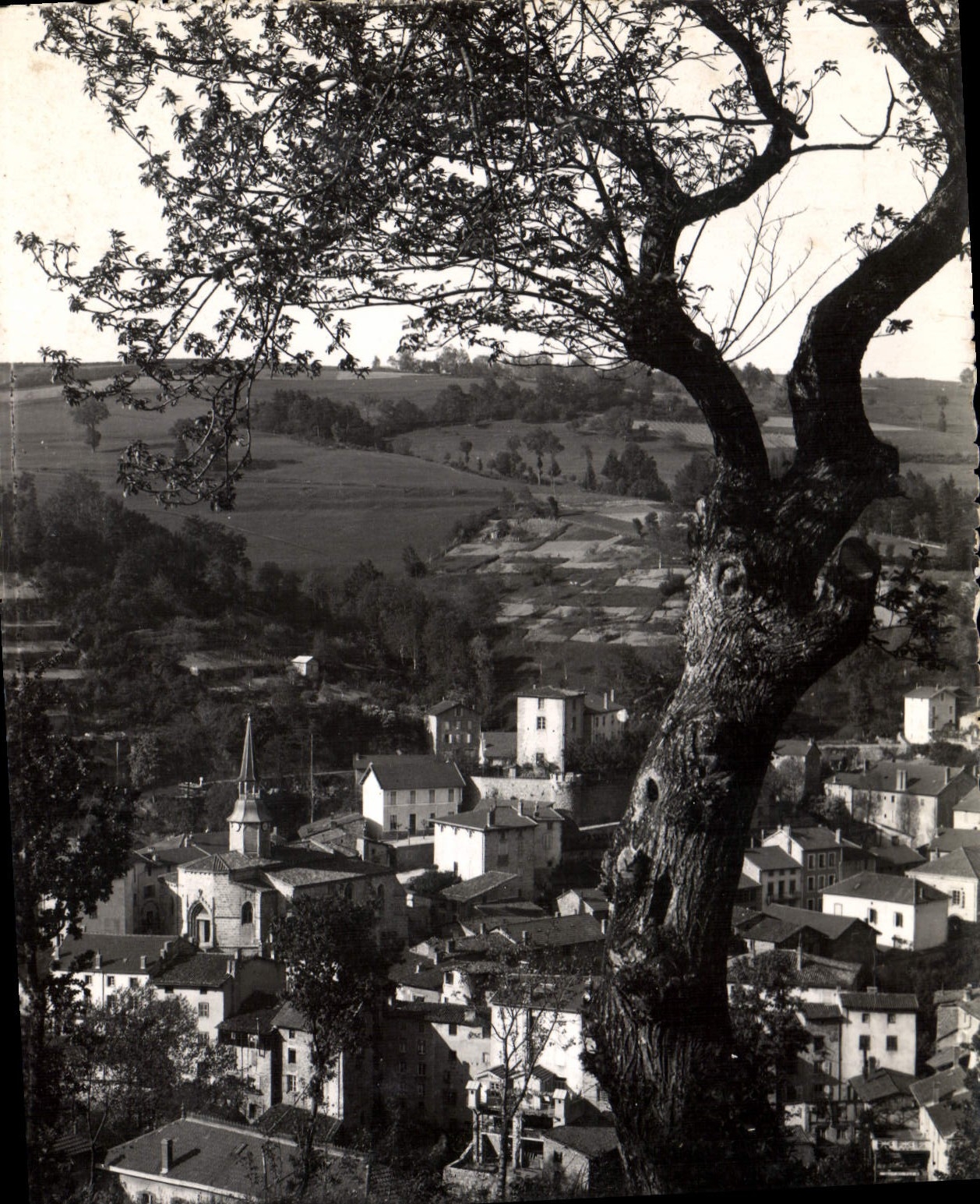 Olliergues — vue panoramique depuis un arbre — édition L'Auvergne