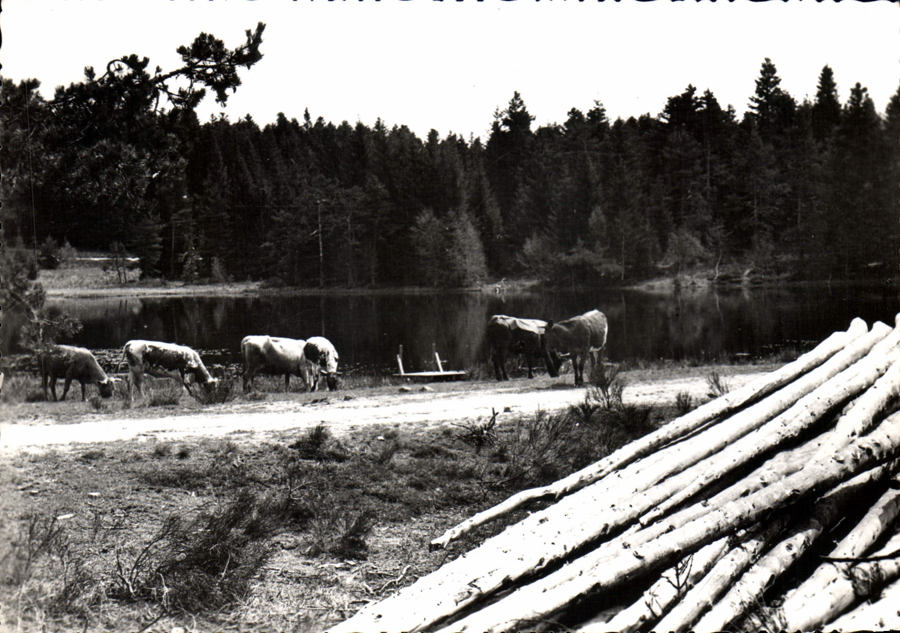 St GERMAIN L'HERM (1000m) — Station touristique - Étang du Fangonnet — Photo H. Pouyel