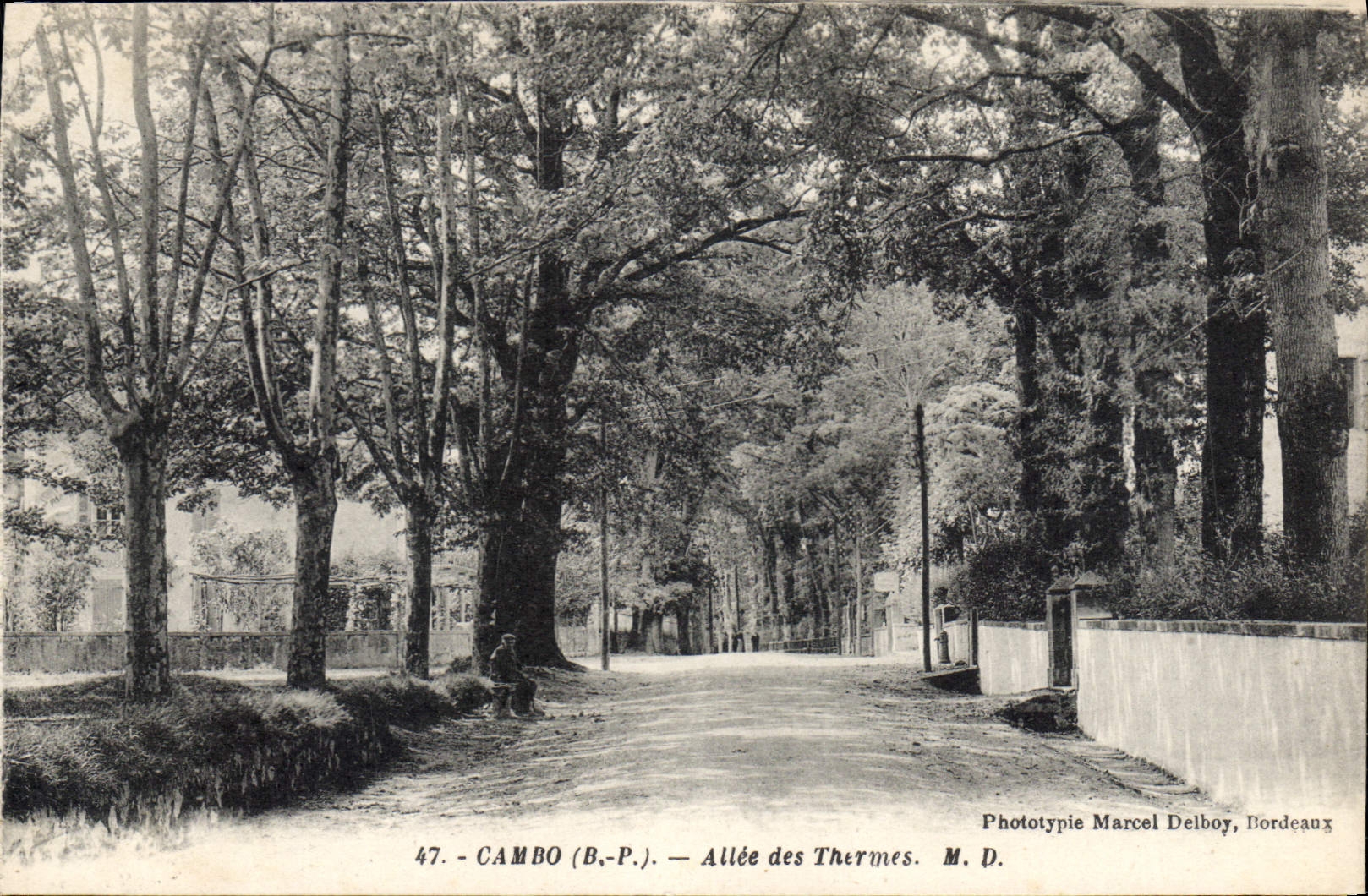 Cambo (B.P.) — Allée des Thermes — Phototypie Marcel Delboy, Bordeaux