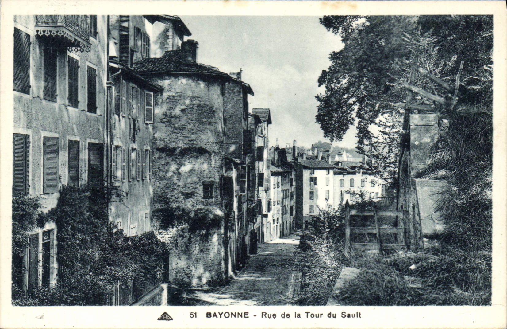 Bayonne - Rue de la Tour du Sault — vue de rue avec bâtiments et végétation — éditeur CPAPHIL n°51