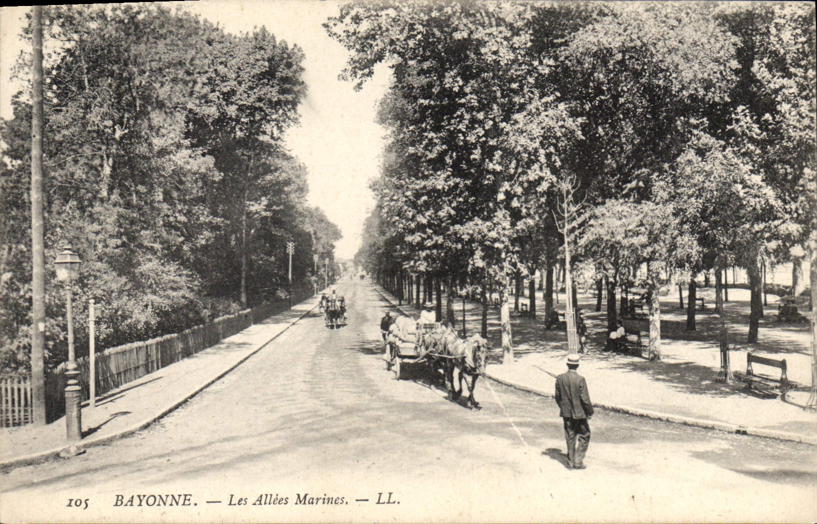 CPA Bayonne Les Allees Marines 
