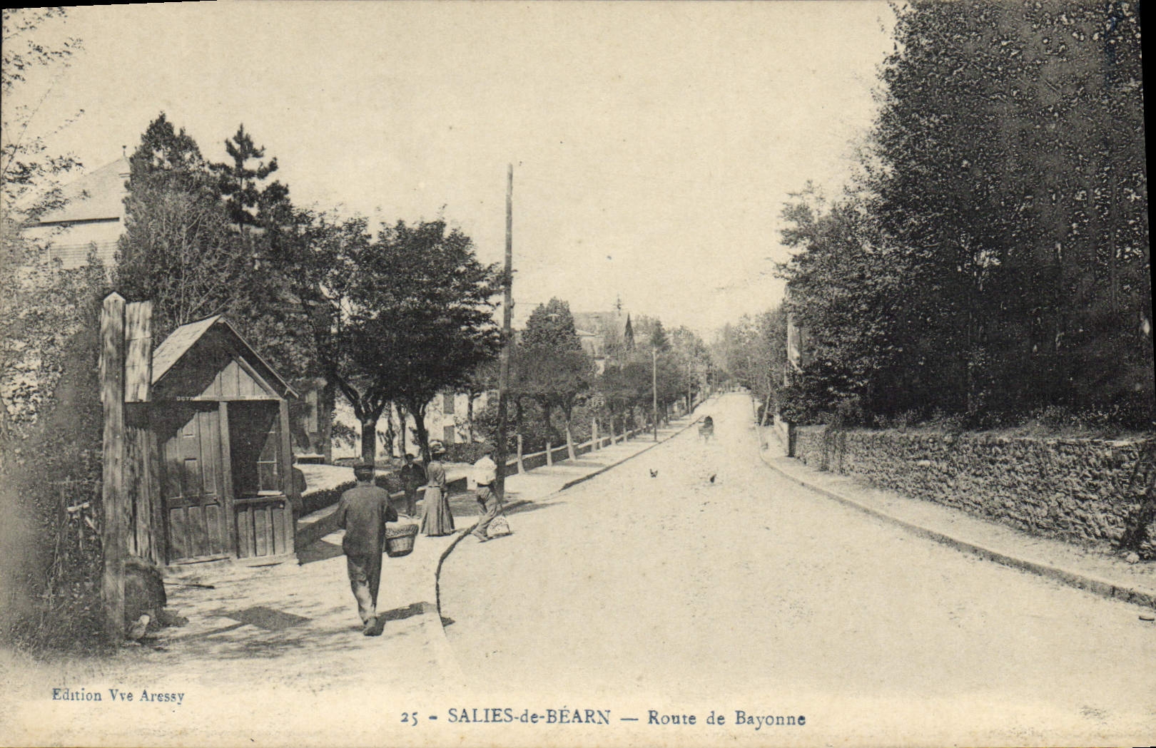 CPA Salies de Bearn Route de Bayonne 