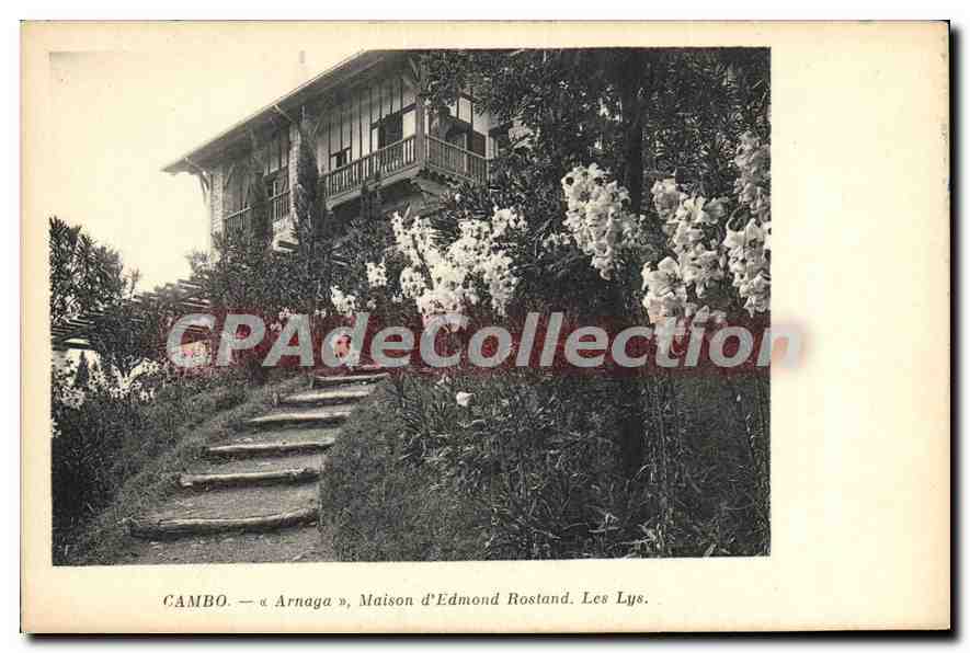 Cambo — « Arnaga », Maison d'Edmond Rostand. Les Lys.