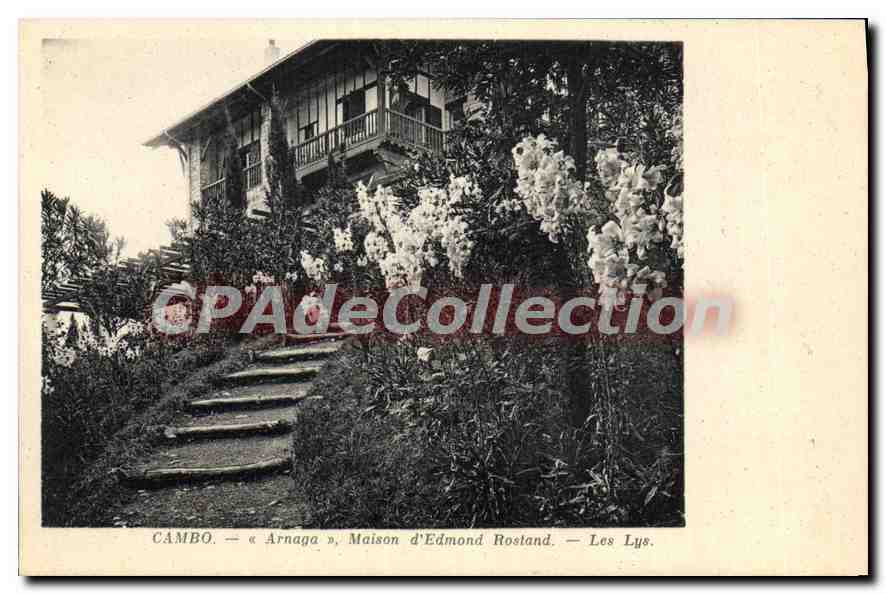 Cambo — « Arnaga », Maison d'Edmond Rostand — Les Lys