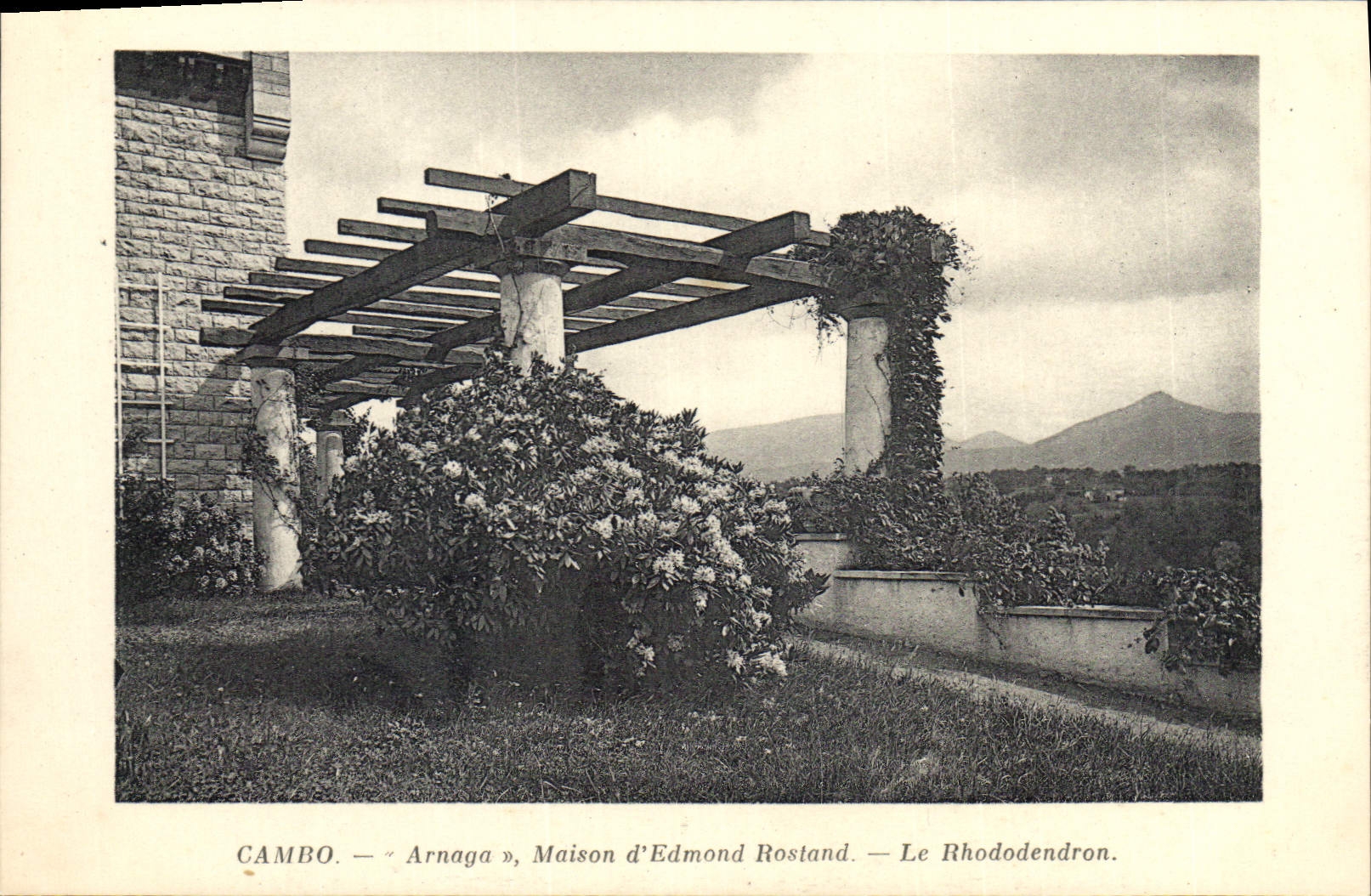 Cambo — « Arnaga », Maison d'Edmond Rostand — Le Rhododendron