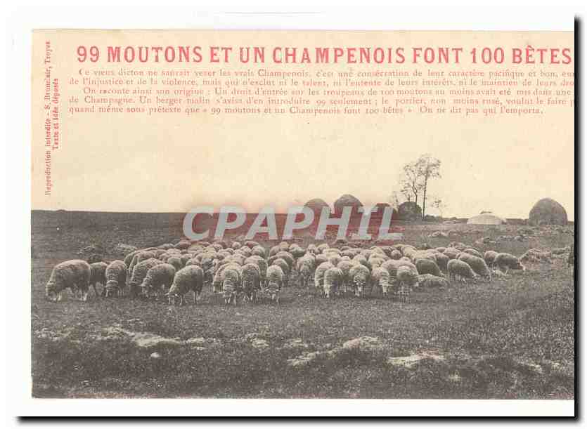 CPA Fantaisie 99 moutons et un champenois dont 100 betes