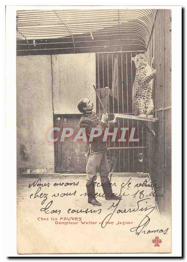 Chez les FAUVES — Dompteur Walter et son Jaguar — carte postale