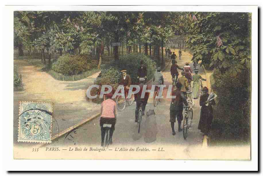 Paris — Le Bois de Boulogne — L'Allée des Érables — LL.