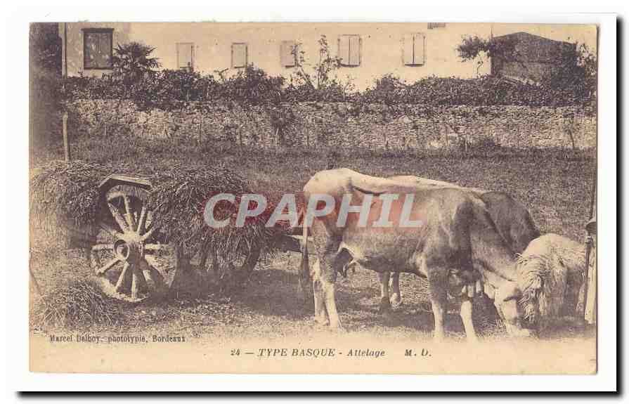 Type basque CPA Attelage (boeufs)