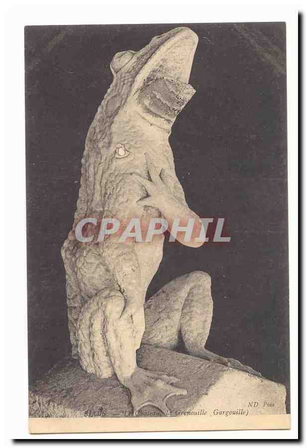Blois CPA Le chateau La Grenouille Gergouille