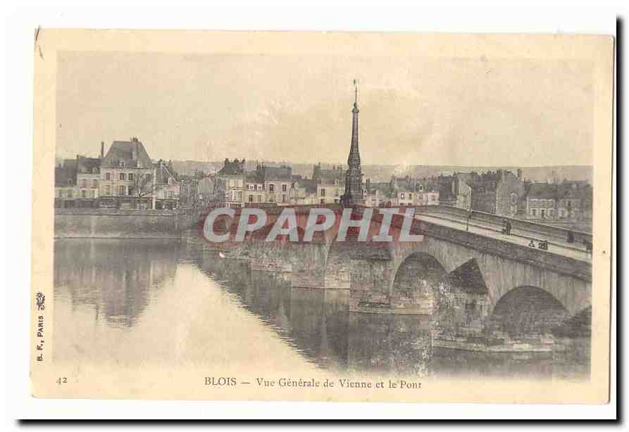 blois CPA Vue generale de Vienne et le pont