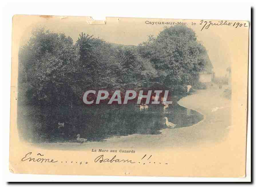 CAyeux sur Mer CPA la mare aux canards