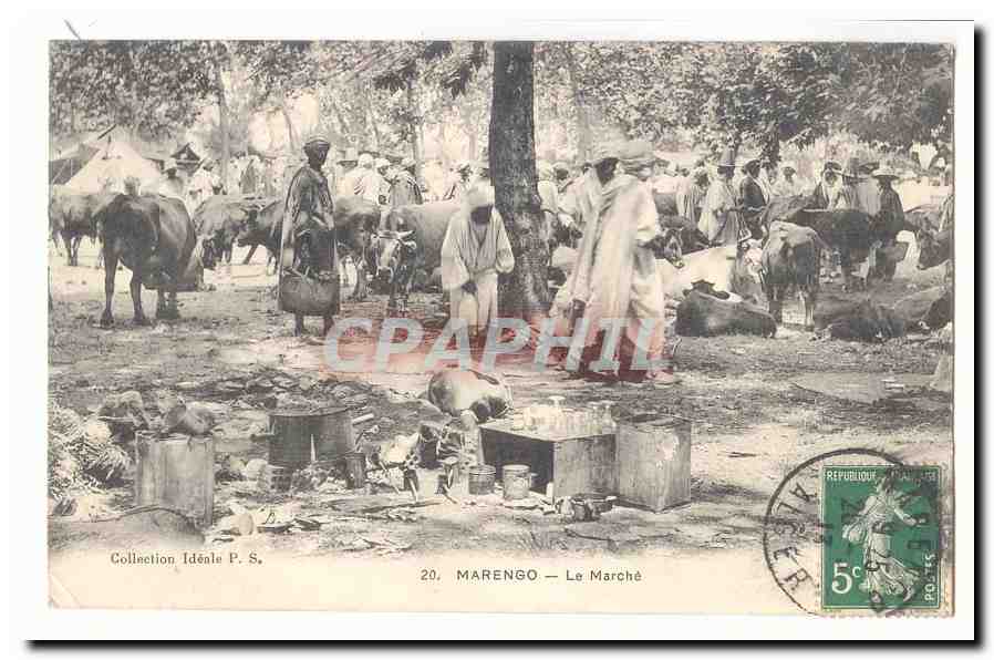 Algerie Marengo CPA Le marche (boeufs) TOP
