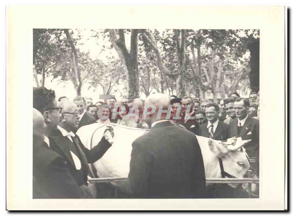 PHOTO Voyage officiel de Mr le President de la Republique Dijon Macon 15 et 16 mai 1948 Auriol a Macon Foire