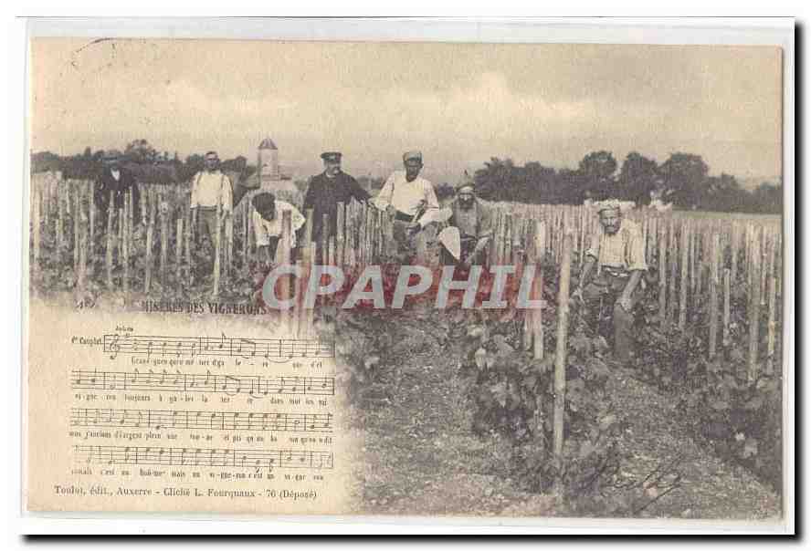 CPA Yonne Miseres des vignerons (vigne agriculture) TOP (carte precurseur)