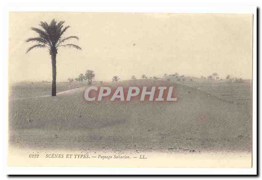 Algerie CPA Scenes et types Paysage saharien