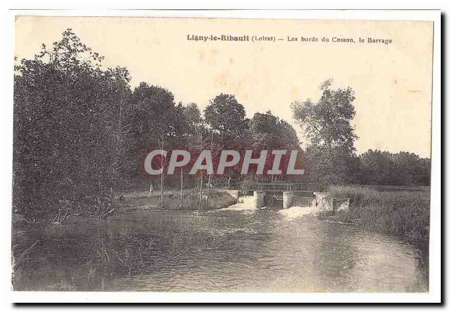 Liègny-le-Ribault (Lotret) — Les bords du Cosson, le Barrage