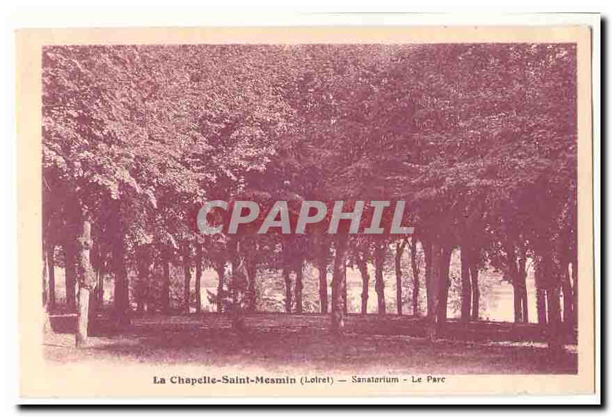 La Chapelle Saint MEsmin (45) CPA SAnatorium Le parc