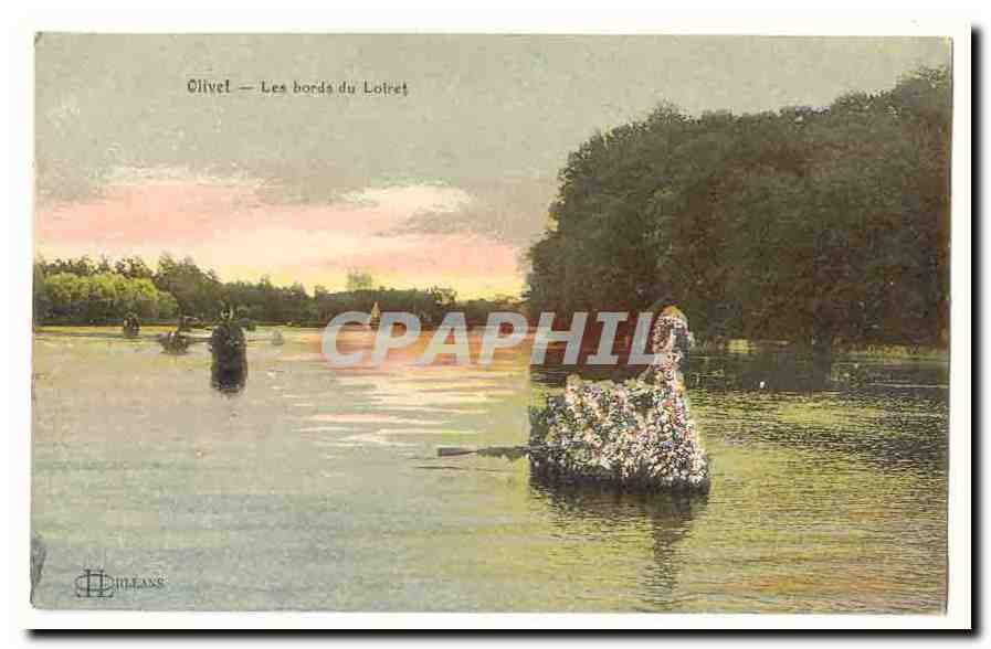 Orleans Olivet CPA Les bords du Loiret (cygne)