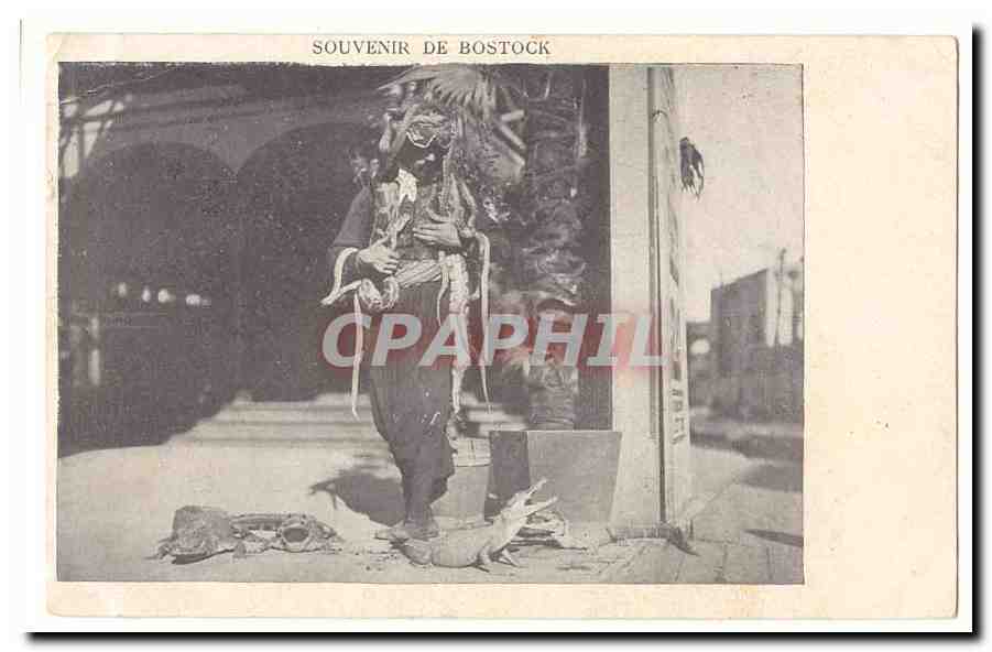 Souvenir de Bostock — homme en costume traditionnel avec serpent — éditeur non identifié