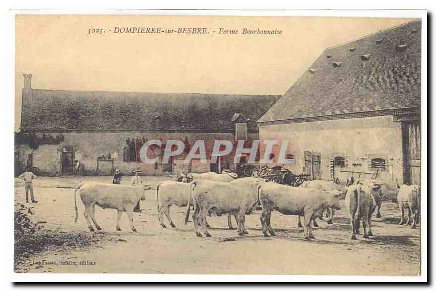Dompierre sur Besbre CPA Ferme Bourbonnaise (vaches)