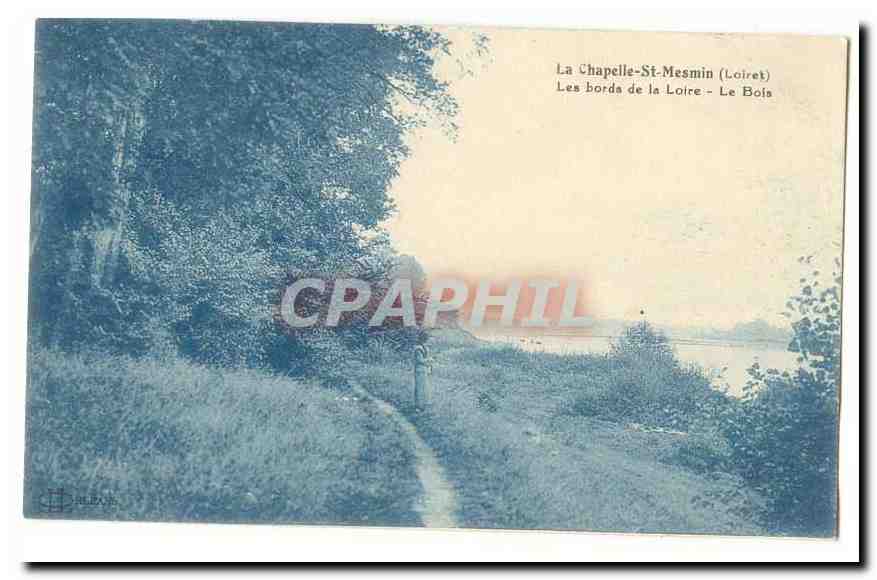 La Chapelle-St-Mesmin (Loiret) — Les bords de la Loire — Le Bois