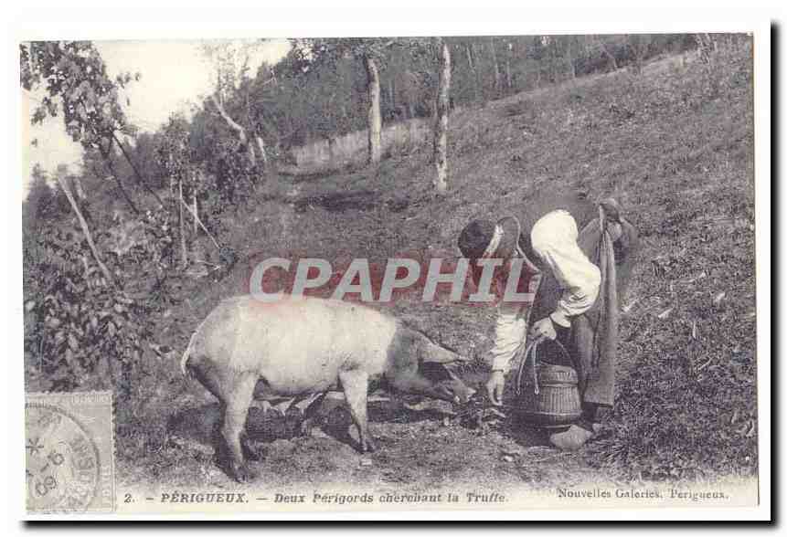 REPRODUCTION Perigueux Deux Perigords cherchant la truffe